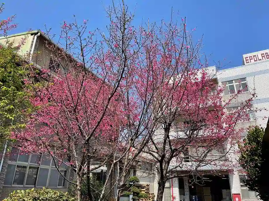 公司簡介 公司簡介